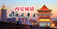 啊啊啊不要操,流水了视频中国陕西-西安城墙旅游风景区